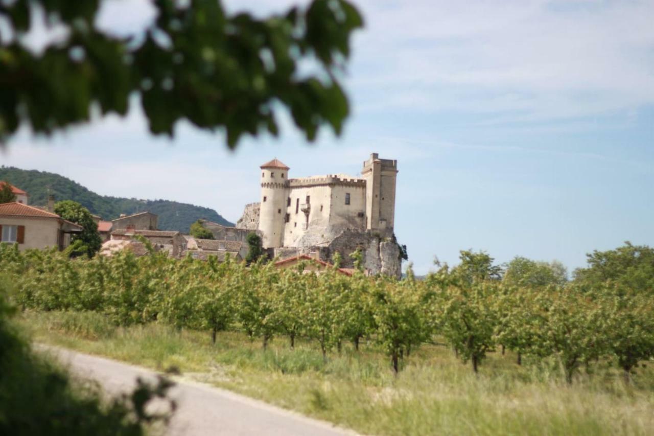 Le relais du château La Roche-de-Glun Exterior foto